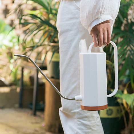 Regadera nórdica de plástico para plantas en maceta, con boquilla larga y curvada, 1 L (blanca) (1/5)