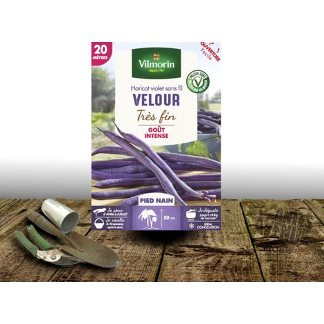 Graines de Haricot Nain mangetout Velour - Vilmorin/Boite - 20 mètres