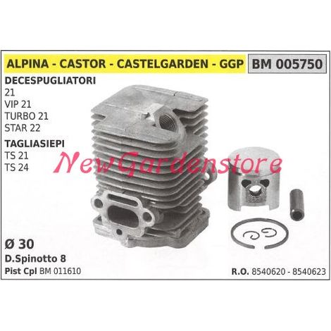 Cilindro pistone segmenti ALPINA motore decespugliatore 21 VIP21 TURBO 21 005750