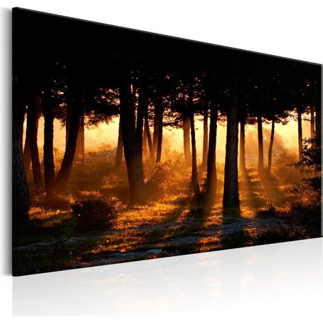 Tableau Imprimé "Forest Dawn" 60 x 90 cm (1/2)