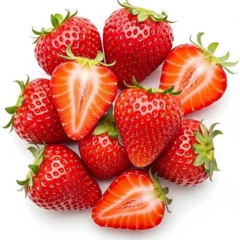 Fraise Benihoppe 400 pcs – Semences Fruits Sucrés – Jardin (1/5)