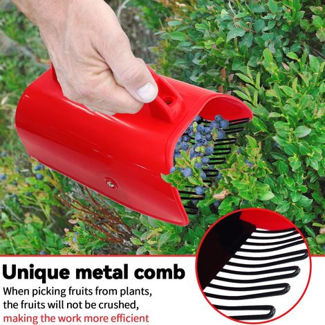 1 cueille-baies en plastique rouge, adapté aux myrtilles, aubépines, mûres et canneberges. (1/5)