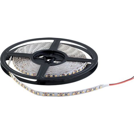 Bande LED SMD3528 120 LED 6000K° IP20 ELMARK