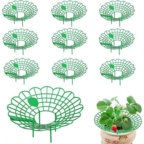 Support Fraisier de Plantes Fraises Cadre Culture Fraise pour Légume 10Pcs (1/5)