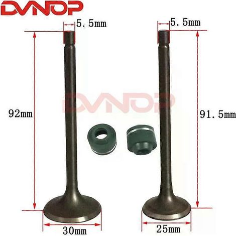 Válvula de admisión y escape del motor de motocicleta con resorte para HONDA CG150 CG 150 150cc (válvula) (1/5)