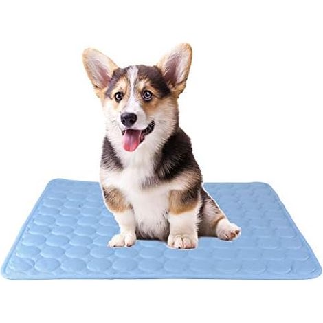Haustier-Matte Kühlkissen für Katzen und Hunde CoolCore/Nicht Giftig/Blau (S) (1/5)