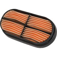 Sekundär Filter CNH CASE IH 87037985