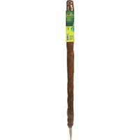 Tuteur coco 1m pour plantes grimpantes – Fibre de coco naturelle – Support esthétique et écologique – Favorise enracinement aérien – Celloplast