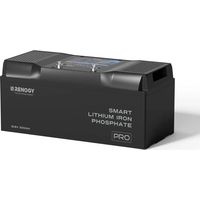 Renogy Alimentatore Switching 100W - 12V Convertitore da AC a DC per Elettrodomestici, Camper e Uso Marittimo