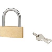 Cadenas BASIC à clé, base 50 mm, anse acier, 2 clés - SERRUPRIX
