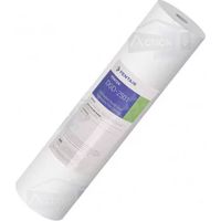 Cartouche Pentair Big Blue DGD 2501