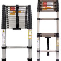 3.8M Telescopic Ladder 12.5FT Multi-Purpose Stainless Steel Telescoping Ladder Extendable Portable Sturdy Loft Ladder with EN131 & CE Standard for Draw Wall Replace Bulb Clean Window Repair Roof