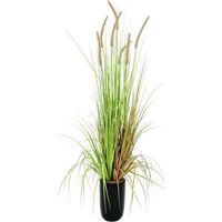 Césped artificial europalms 82600121 sin mantenimiento realista
