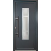 Signum ExklusivPVC Model 87, innen: titan, außen: titan, Breite: 108cm, Höhe: 208cm, Öffnungsrichtung: DIN links