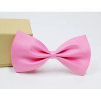 Nœud papillon pour chien ou chat