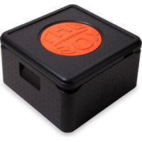 The Box Thermobox Pizza mittel, Volumen: 41 x 41 x 24 cm (21 Liter), Nutzhöhe 17,5 cm - 10 Stück