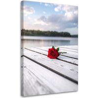 Bild auf Leinwand Rote Rose auf einem Pier 60x90