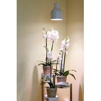 Venso E27 SAGA Lampenschirm Weiß LED Pflanzenlampe