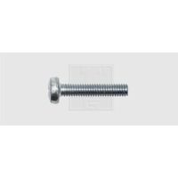 SWG 4009146053259 Assortimento viti filettate M6 20 mm A croce Phillips DIN 7985 Acciaio zincato 100 pz.