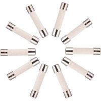 10x Zeitträge Keramiksicherung (T) 10A / 250VAC 5x20mm