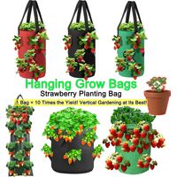 (Tissu vert, 6 trous, 5 pièces) Sacs de culture suspendus pour fraises et tomates, pour jardin vertical, jardinière à fraises, tour aéroponique