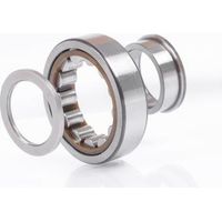 Roulements à rouleaux cylindriques NUP2204 -E-TVP3-C3 ID 20mm AD 47mm Largeur18mm NKE