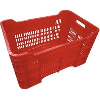 Cesta Forata con Fondo Chiuso in Plastica