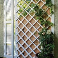 CLAIE EXTENSIBLE PVC BLANCHE