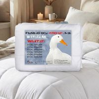 Tex Family – Duvet d'oie 500g – 80% duvet d'oie – 20% plumette – Couette blanche double maxi 250x220 cm – Tissu polyester dense