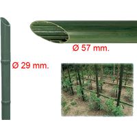 Cannetta in plastica riciclata effetto bambù tutore per giardinaggio ed agricoltura -Ø 29 mm x h 180 cm / Confezione da 1 pezzo