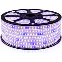 Sysled – Ruban LED horticole 50 mètres – Spectre optimisé pour photosynthèse – Étanchéité IP68 – 1080 lumens par mètre – 11W pour cultures intérieures