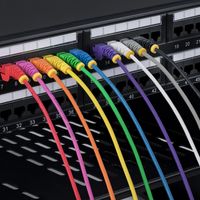 StarTech.com N6PAT250CMPKS Netzwerkkabel Pink 2,5 m Cat6 U/UTP (UTP)