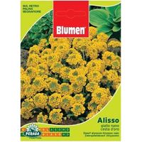 Beutel mit zwerggelben Alisso-Samen Cesta D\'Oro