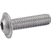 Schraube mit abgerundetem Kopf, Innensechskant, mit Basis - Edelstahl A2 4x12 mm - Packung mit 200