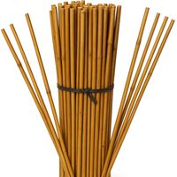 Pack 25 Tutor de Bambu 150 cm (12-14 mm) Varillas de bambu para Plantas y Arboles Tutores para Tomates y Plantas trepadoras