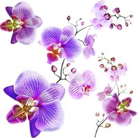 Ag Design SS 3859 Wall Sticker Disney-Autoadesivo, (Set di 3), Multicolor, 30 x 30 cm