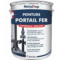 Peinture Portail Fer - Pot 5 L - 8003 - Brun argile - Metaltop