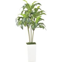Arbre de dragon artificiel 120 cm, Grande plante artificielle en pot blanc, Décoration intérieur/extérieur maison, bureau, jardin