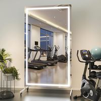 Hasipu 170 x 100 cm Ganzkörperspiegel mit Beleuchtung, 360° Drehbar Groß Standspiegel mit Rollen, Gehärtetes Glas LED Home Gym Spiegel Tanzspiegel für Schlafzimmer Fitnessraum Yoga