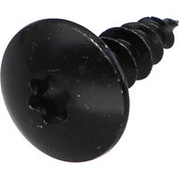 Vis Penture 5X16 Filetage total TORX T20 Acier zingué noir-2000 pièces