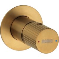 Mitigeur de douche à encastrer 1 sortie couleur laiton brossé Mamoli Tuttodunpezzo 37300000002G Laiton brossé