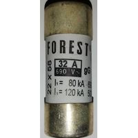 Forest Fuse 32A 22.2x58mm with striker
