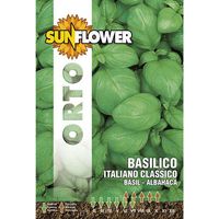 Graines de Basilic Italien Classique Tournesol