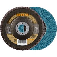 RHODIUS LGZ F2, 10 Stück, 180 mm, Korn 60, Fächerschleifscheibe