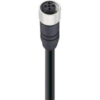 Belden 27310-1 Connettore dati confezionato per sensore o attuatore M12 Presa dritta 15.00 m Numero di poli: 5 1 pz.
