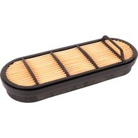 Filtro aria interno SDF 090002721
