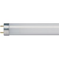 Tube Fluorescent G13 éclairage Blanc Froid Standard - Dhome
