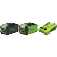 Pack GREENWORKS 40V - 2 baterías 4.0Ah y 2.0Ah Li-ion - 1 cargador