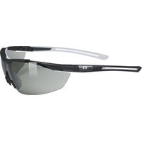 Hellberg Argon Photochrom. AF/AS Sicherheitsbrille 23431-001