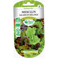 Semi di insalata mesclun in miscela BIO I Dita Verdi